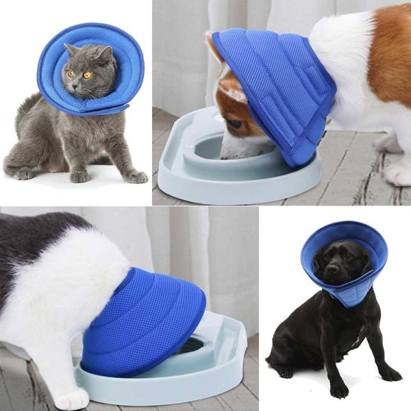 dog collars & leashes pet adjustable protective recovery collar cat supplies selling
dog collars & leashes pet adjustable protective recovery collar cat supplies selling