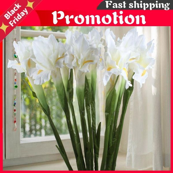 decorative flowers & wreaths 10/6pcs real touch iris artificial for wedding 68cm fabric fake table decoration accessories
decorative flowers & wreaths 10/6pcs real touch iris artificial for wedding 68cm fabric fake table decoration accessories
