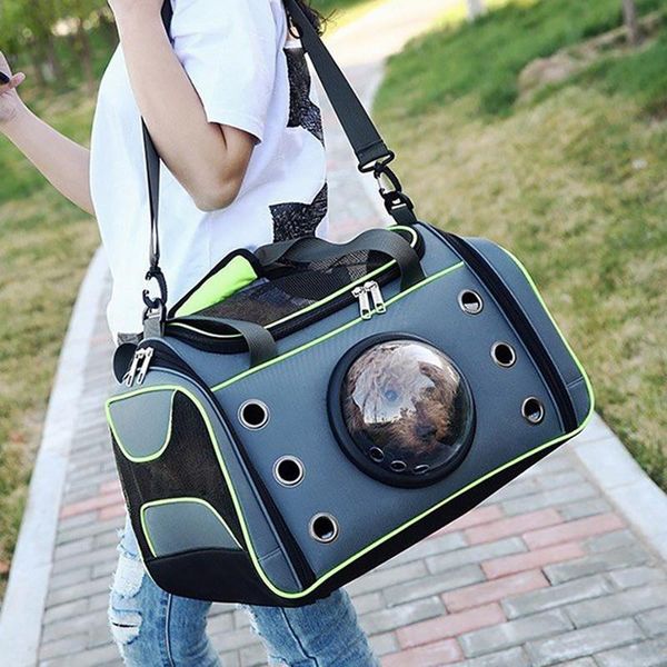 comfortable outdoor pet dog carrier bag front out double shoulder portable travel backpack mesh head car seat covers
comfortable outdoor pet dog carrier bag front out double shoulder portable travel backpack mesh head car seat covers