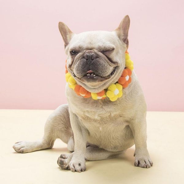 cat collars & leads the pet rainbow flower collar can be adjusted material-the is made of polyester plush ball canvas webbing
cat collars & leads the pet rainbow flower collar can be adjusted material-the is made of polyester plush ball canvas webbing
