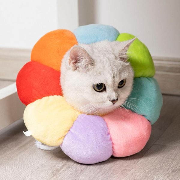 cat collars & leads recovery collar pet neck cone for anti-bite lick wound healing protective adjustable accessories
cat collars & leads recovery collar pet neck cone for anti-bite lick wound healing protective adjustable accessories