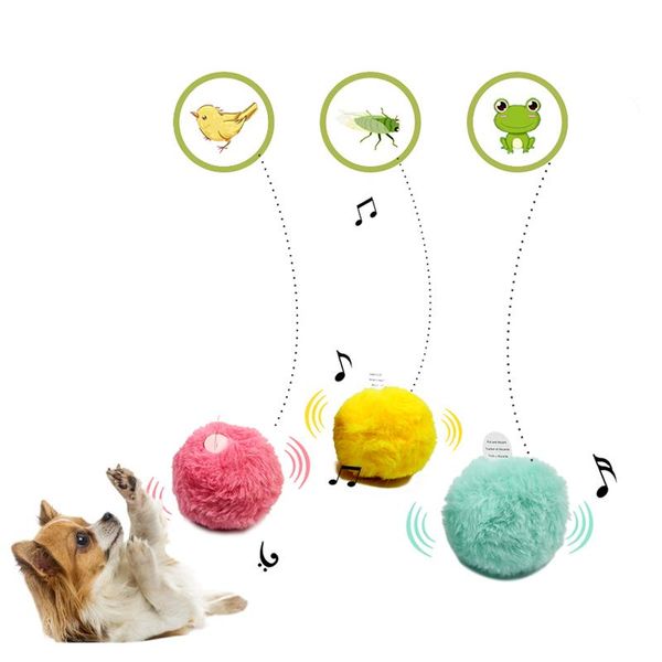 simulated sound dog cat ball toys funny squeak electirc interactive plush puppy kitten for pet chew game supplies
simulated sound dog cat ball toys funny squeak electirc interactive plush puppy kitten for pet chew game supplies