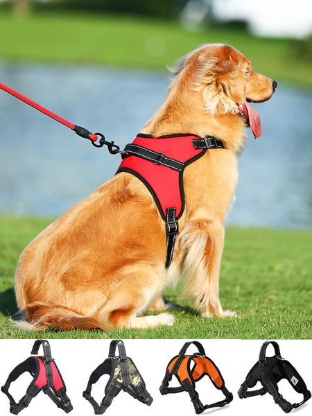 dog collars & leashes harness vest chest strap small teddy golden retriever medium large thickening adjustable collar cats supplies
dog collars & leashes harness vest chest strap small teddy golden retriever medium large thickening adjustable collar cats supplies