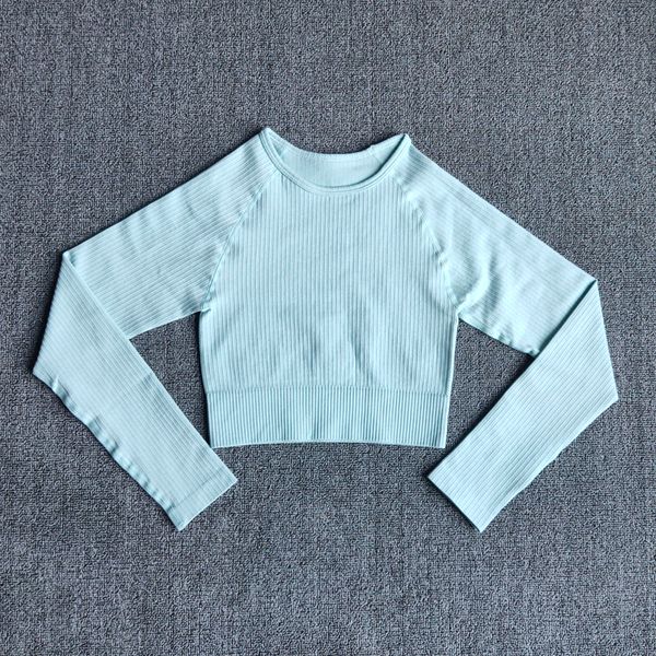 yoga sports crop long sleeve gym womens seamless t-shirt fitness woman sport t-shirt workout for womens sportswear, White
yoga sports crop long sleeve gym womens seamless t-shirt fitness woman sport t-shirt workout for womens sportswear, White