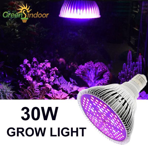 grow lights e27 led light bulb 30w 80w phytolamp for plants indoor gardening 40 leds lamp full spectrum uv ir tent
grow lights e27 led light bulb 30w 80w phytolamp for plants indoor gardening 40 leds lamp full spectrum uv ir tent