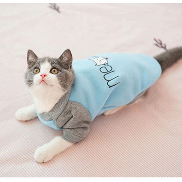 cute cat clothes spring hoodie summer pullover for cats kitten sweatshirt small dogs chihuahua puppy pets clothing outfit costumes
cute cat clothes spring hoodie summer pullover for cats kitten sweatshirt small dogs chihuahua puppy pets clothing outfit costumes