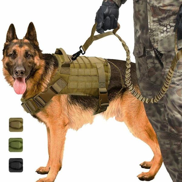 adjustable tactical service dog vest training hunting molle nylon water-resistan military harness with handle collars & leashes
adjustable tactical service dog vest training hunting molle nylon water-resistan military harness with handle collars & leashes