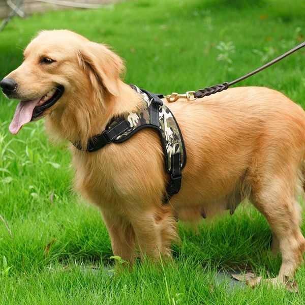 dog collars & leashes pet products large harness vest collar hand strap outdoor pets leads accessories cat
dog collars & leashes pet products large harness vest collar hand strap outdoor pets leads accessories cat