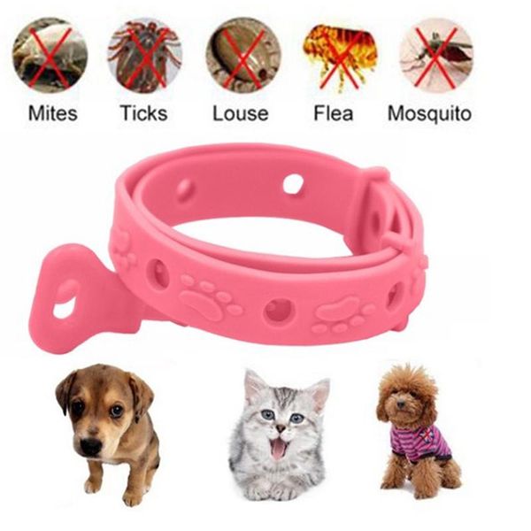 cat collars & leads pink novelty pet dog collar neck ring leave away fromtick mite louse remedy supplies
cat collars & leads pink novelty pet dog collar neck ring leave away fromtick mite louse remedy supplies