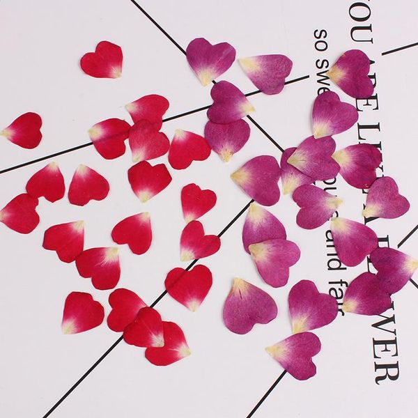 decorative flowers & wreaths heart-shaped rose petals dry glue dripping mobile phone shel flower pressing 20 home decoration accessories
decorative flowers & wreaths heart-shaped rose petals dry glue dripping mobile phone shel flower pressing 20 home decoration accessories