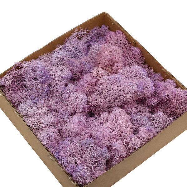 decorative flowers & wreaths 200g/box flower material mini garden micro landscape fake moss artificial plant immortal / home decoration wall
decorative flowers & wreaths 200g/box flower material mini garden micro landscape fake moss artificial plant immortal / home decoration wall