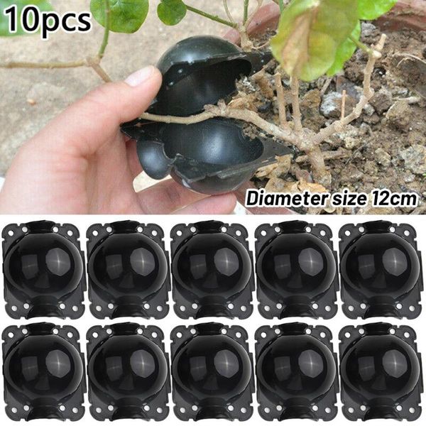 other garden supplies 10pcs plant rooting equipment high pressure propagation ball growing box breeding case for graft sapling
other garden supplies 10pcs plant rooting equipment high pressure propagation ball growing box breeding case for graft sapling