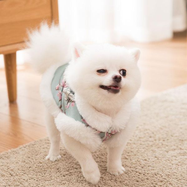 cat costumes hoddies kitten clothes pet costume outfit cats hoodie clothing for pets sweater ropa para gatito oo50wy
cat costumes hoddies kitten clothes pet costume outfit cats hoodie clothing for pets sweater ropa para gatito oo50wy