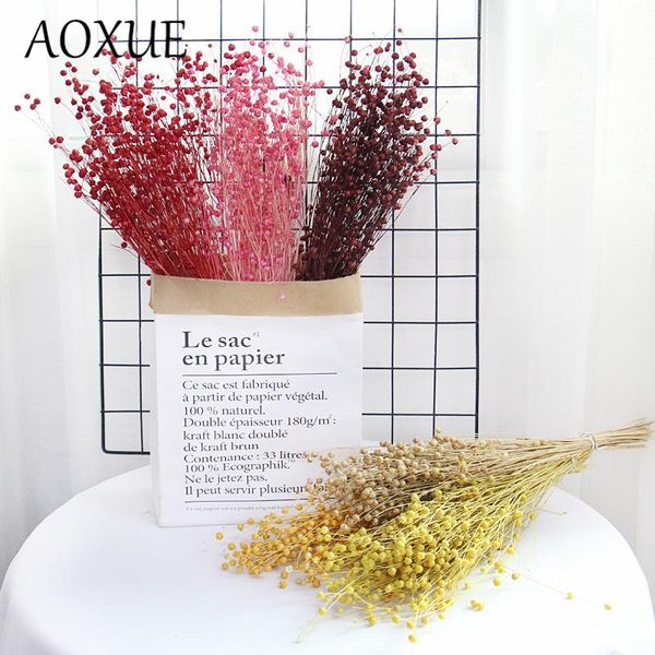 acacia dried bean flower wealthy flax material gypsophila immortal diy gift box home living room decoration decorative flowers & wreaths
acacia dried bean flower wealthy flax material gypsophila immortal diy gift box home living room decoration decorative flowers & wreaths