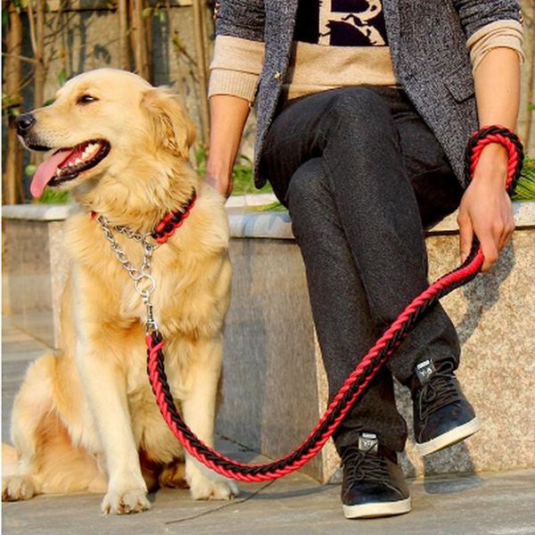 double strand rope large dog leashes metal p chain buckle national color pet traction collar set for dogs 1.2m length wf collars &
double strand rope large dog leashes metal p chain buckle national color pet traction collar set for dogs 1.2m length wf collars &