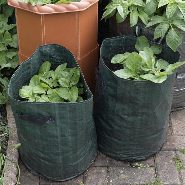 planters & pots vegetable gardening grow bag diy potato planter pe cloth planting container for home garden plant transplanting
planters & pots vegetable gardening grow bag diy potato planter pe cloth planting container for home garden plant transplanting