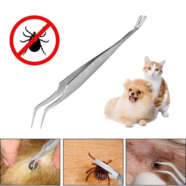 in 1 tick tweezers stainless steel dog cat pets accessories pet supplies professional removal tool remover apparel
in 1 tick tweezers stainless steel dog cat pets accessories pet supplies professional removal tool remover apparel