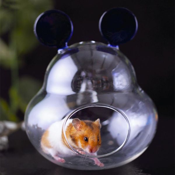 small animal supplies cooling glass hamster nest summer chipmunk dwarf rat cage landscaping
small animal supplies cooling glass hamster nest summer chipmunk dwarf rat cage landscaping