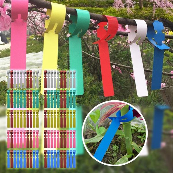 200pc plastic plant long typetags markers nursery tray garden labels tags a planter tools 2021 decorations
200pc plastic plant long typetags markers nursery tray garden labels tags a planter tools 2021 decorations