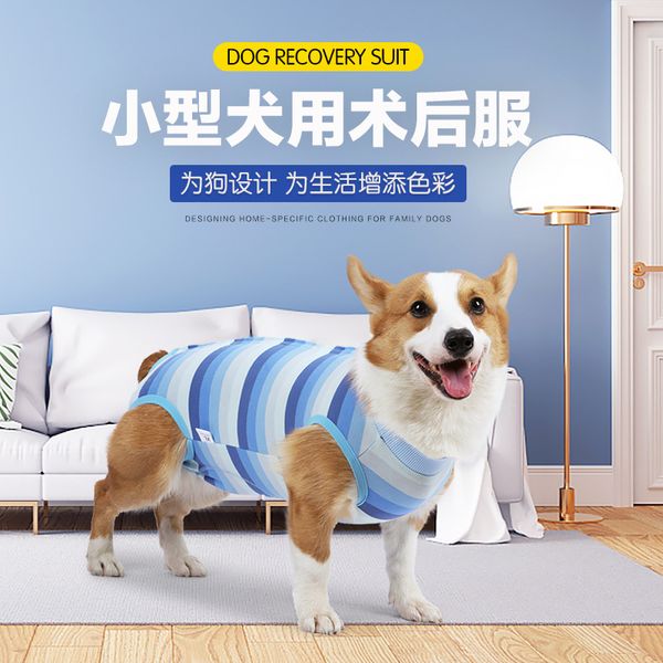 small dog cloth summer medium and small sterilization posrative belly care thin buckle pet
small dog cloth summer medium and small sterilization posrative belly care thin buckle pet