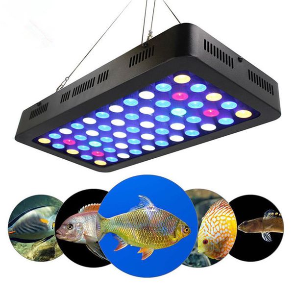 grow lights full spectrum led plant light lamp for indoor nursery flower fruit veg hydroponics system tent 165w dimming
grow lights full spectrum led plant light lamp for indoor nursery flower fruit veg hydroponics system tent 165w dimming