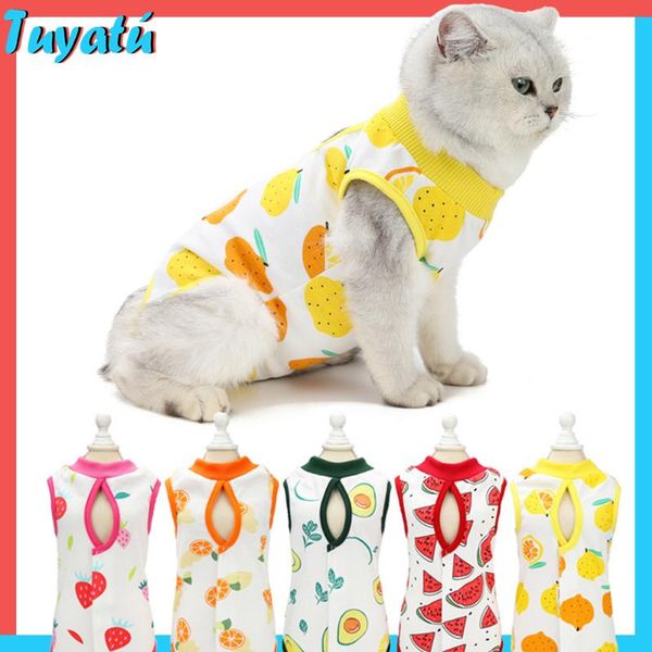 summer cat spaying and neutering clothes for small dogs weaning anti-lick vest clothing cats accessories pet costumes
summer cat spaying and neutering clothes for small dogs weaning anti-lick vest clothing cats accessories pet costumes