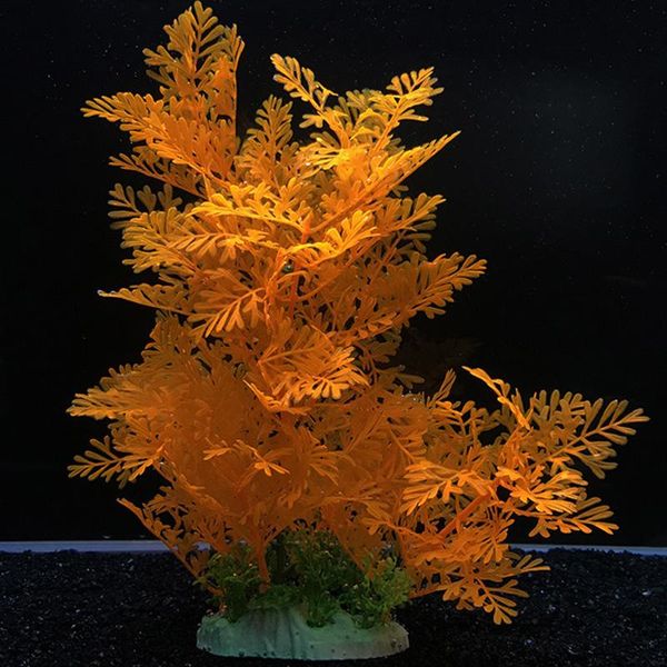 plastic artificial water grass simulation underwater ornaments for home fish tank aquarium fake plants decoration supplies decorations
plastic artificial water grass simulation underwater ornaments for home fish tank aquarium fake plants decoration supplies decorations