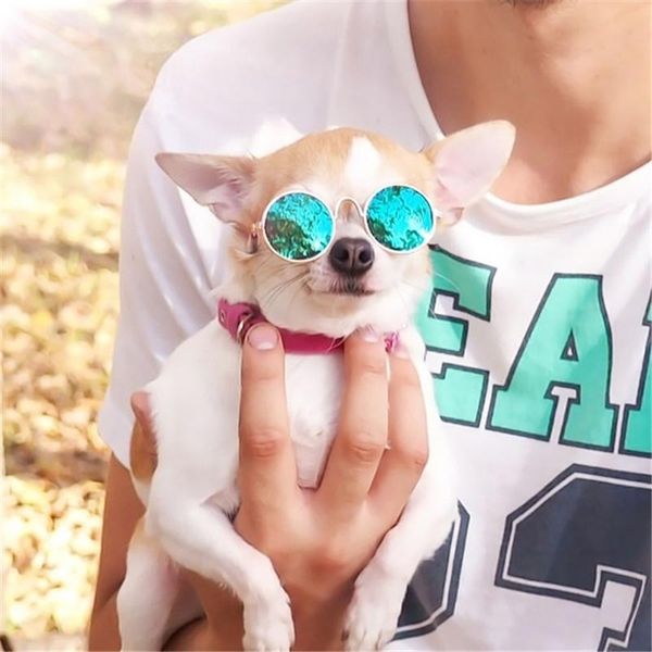 cat costumes dog pet glasses sunglasses little eye-wear pos props accessories supplies for products
cat costumes dog pet glasses sunglasses little eye-wear pos props accessories supplies for products