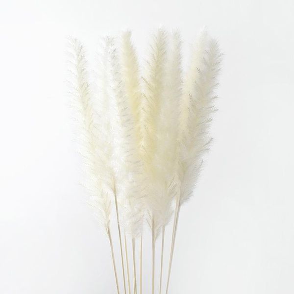 decorative flowers & wreaths pampas grass decor white color fluffy natural dried bleached bouquet boho vintage style for wedding home christ
decorative flowers & wreaths pampas grass decor white color fluffy natural dried bleached bouquet boho vintage style for wedding home christ