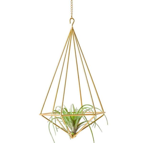 other garden supplies hanging air plant holder modern geometric planter with chain tillandsia container himmeli wall decor, gold
other garden supplies hanging air plant holder modern geometric planter with chain tillandsia container himmeli wall decor, gold