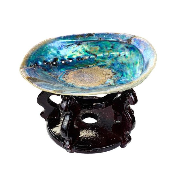 novelty items 13-15cm natural zealand abalone shell conch seashell display stand holder nautical home decor diy aquarium landscape craft
novelty items 13-15cm natural zealand abalone shell conch seashell display stand holder nautical home decor diy aquarium landscape craft