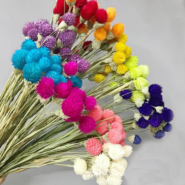 natural preserved globe amaranth stberry fruit pgraph home deskoffice garden wedding decoration dried flower bouquet
natural preserved globe amaranth stberry fruit pgraph home deskoffice garden wedding decoration dried flower bouquet