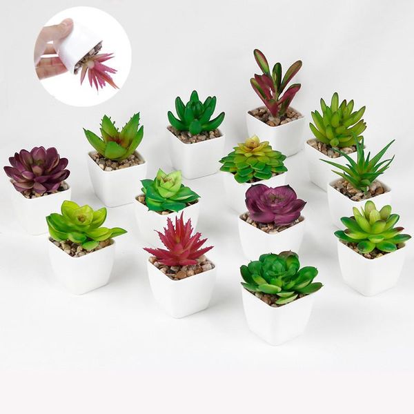 decorative flowers & wreaths plastic bonsai plant simulation succulents yellow red purple mini small potted artificial for deskgreen orn
decorative flowers & wreaths plastic bonsai plant simulation succulents yellow red purple mini small potted artificial for deskgreen orn