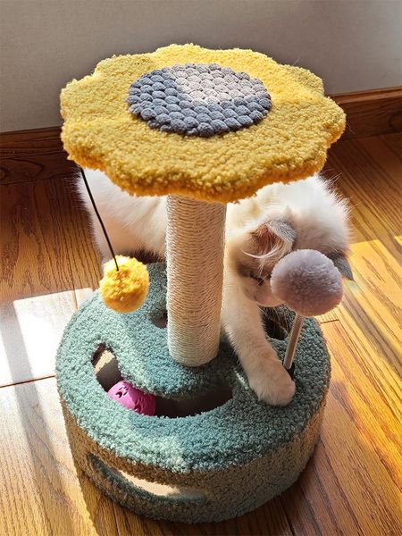 cat toys nest, climbing column, one grab-board, supplies, grab-post shelf pet tree interactive
cat toys nest, climbing column, one grab-board, supplies, grab-post shelf pet tree interactive