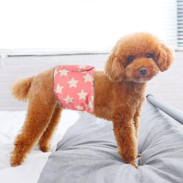 dog apparel female shorts puppy physiological pants diaper pet underwear for small meidium girl dogs 2021 high quality
dog apparel female shorts puppy physiological pants diaper pet underwear for small meidium girl dogs 2021 high quality