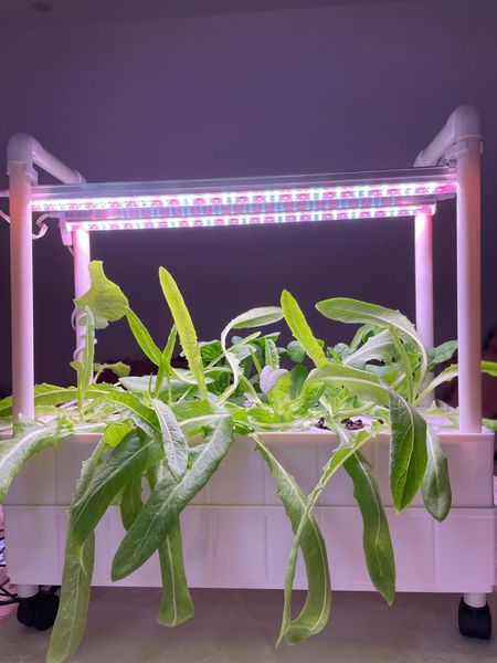 planters & pots indoor garden1 layers 12 removable vertical hydroponic planter with growing led light
planters & pots indoor garden1 layers 12 removable vertical hydroponic planter with growing led light