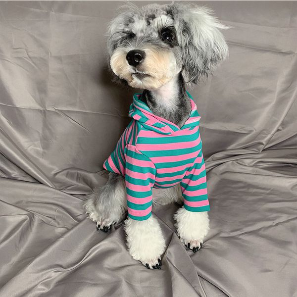 pet teddy cat dog little fighting small puppies summer thinner than bear cocky autumn winter clothes
pet teddy cat dog little fighting small puppies summer thinner than bear cocky autumn winter clothes