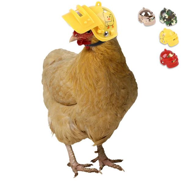 dog apparel cute chicken helmet cap sun rain protection toy pet protective gear duck bird hens small cosplay supplies
dog apparel cute chicken helmet cap sun rain protection toy pet protective gear duck bird hens small cosplay supplies