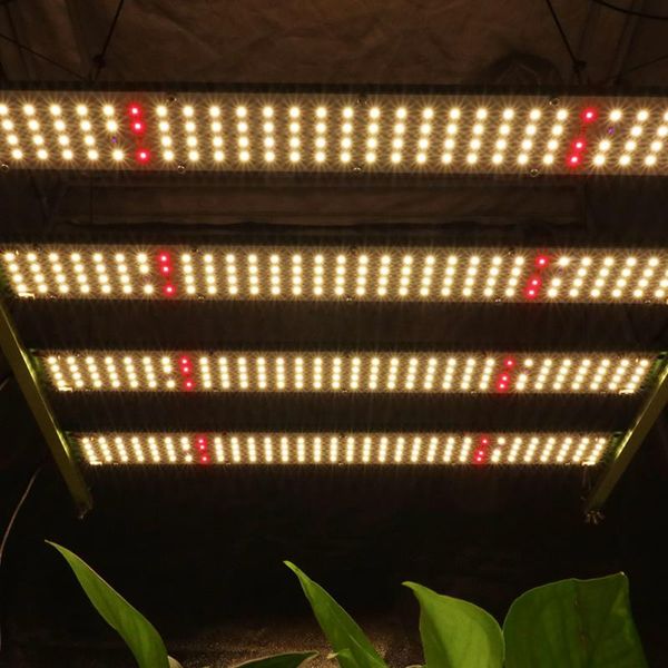 grow lights diy cree 660nm uv ir full spectrum 240w kingbrite samsung lm301b/lm301h dimmable led light with meanwell driver
grow lights diy cree 660nm uv ir full spectrum 240w kingbrite samsung lm301b/lm301h dimmable led light with meanwell driver
