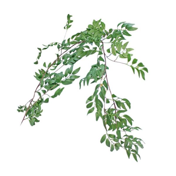 decorative flowers & wreaths 1pc creative green plants rattan string weeding supply
decorative flowers & wreaths 1pc creative green plants rattan string weeding supply