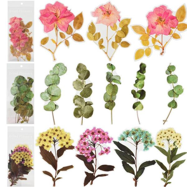 sheets dried flowers stickers set rose sunflower plant note diary sticker label decorative scrapbooking handbook diy art decor gift wrap
sheets dried flowers stickers set rose sunflower plant note diary sticker label decorative scrapbooking handbook diy art decor gift wrap