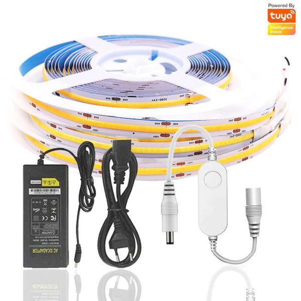 strips 5m dc24v tuya smart life app wifi dimmer controller led strip flexible fob cob lights warm/cool white for alexa google home
strips 5m dc24v tuya smart life app wifi dimmer controller led strip flexible fob cob lights warm/cool white for alexa google home