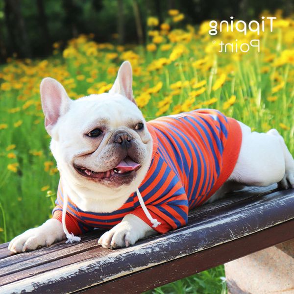 the dog clothes pet dog and summer puppy fadou bomei bear teddy clothing spring striped sweater
the dog clothes pet dog and summer puppy fadou bomei bear teddy clothing spring striped sweater