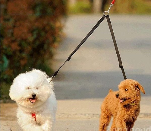 dog collars & leashes g33 pet cat double multiple dual coupler leads 2 way two dogs walking leash safety for yorkshire chihuahua
dog collars & leashes g33 pet cat double multiple dual coupler leads 2 way two dogs walking leash safety for yorkshire chihuahua