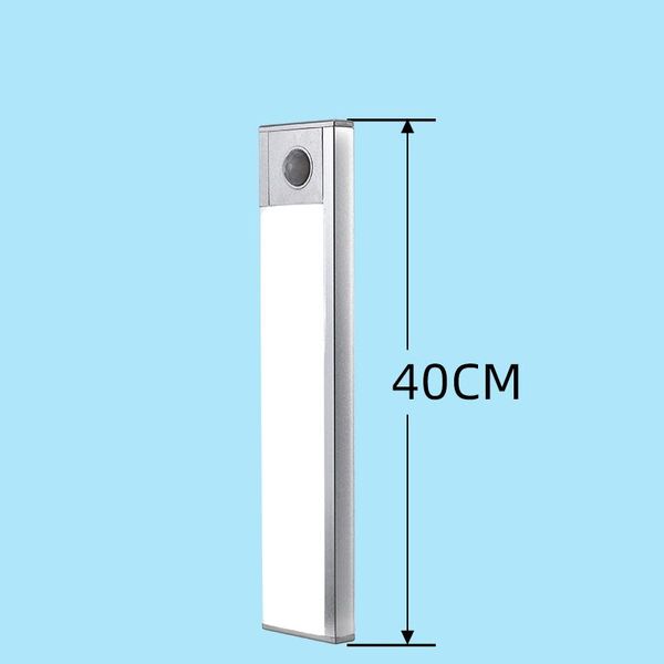 dormitory decoration led light cabinet 40cm pir human body sensor for bedroom wardrobe kitchen
dormitory decoration led light cabinet 40cm pir human body sensor for bedroom wardrobe kitchen