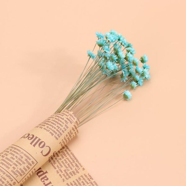 50pcs brazilian small star flowers delicate lovely vivid unique arrangement flower pograph wedding home decoration decorative & wreaths
50pcs brazilian small star flowers delicate lovely vivid unique arrangement flower pograph wedding home decoration decorative & wreaths