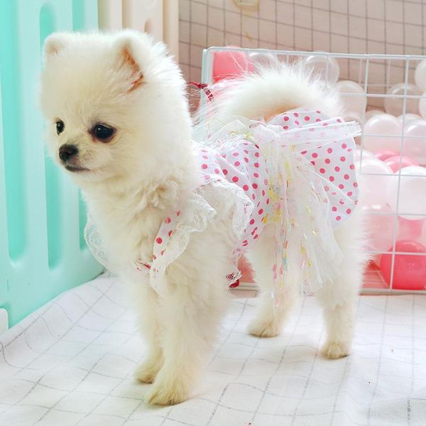 pet teddy bichon poodle puppies cats dogs clothes spring/summer thin princess dot dresses hiromi pattern material origin season dog apparel
pet teddy bichon poodle puppies cats dogs clothes spring/summer thin princess dot dresses hiromi pattern material origin season dog apparel