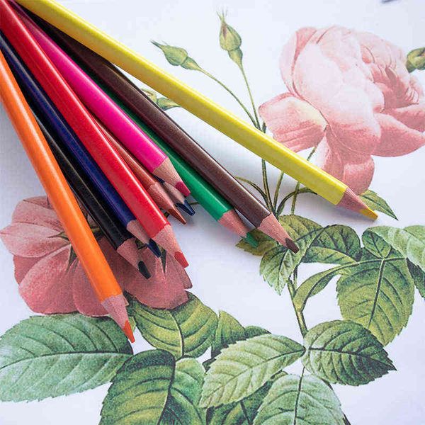 12 plastic large triangle pp barrel color lead drawing pencil 
12 plastic large triangle pp barrel color lead drawing pencil