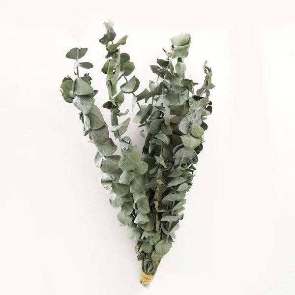 10pcs/bouquet natural dried flowers eucalyptus leaf decor house table landscaping fake diy palnt wedding party supplies home decorative & wr
10pcs/bouquet natural dried flowers eucalyptus leaf decor house table landscaping fake diy palnt wedding party supplies home decorative & wr
