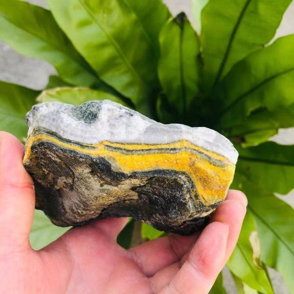 decorative objects & figurines mokagy 200g-1000g natural yellow quartz crystal mineral healing stone 1pc
decorative objects & figurines mokagy 200g-1000g natural yellow quartz crystal mineral healing stone 1pc